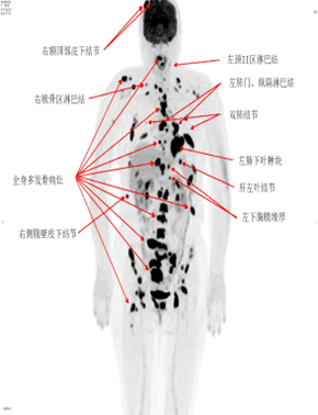 17775116194758.png image002.png