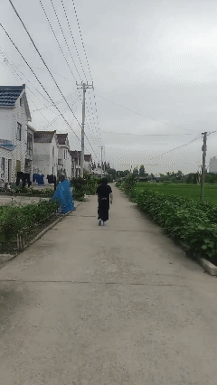 17775117624406.gif image011.gif
